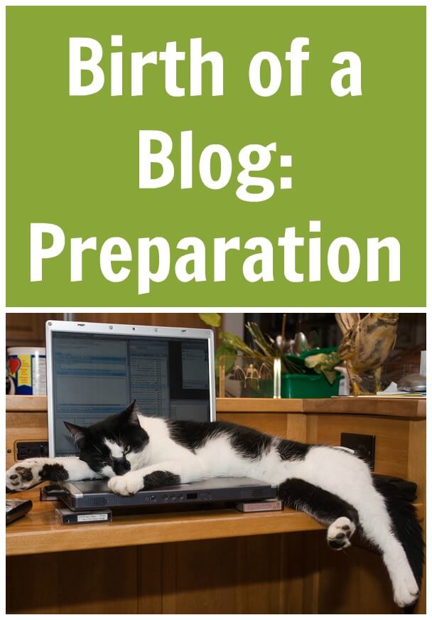 Birth of a Blog: Preparation