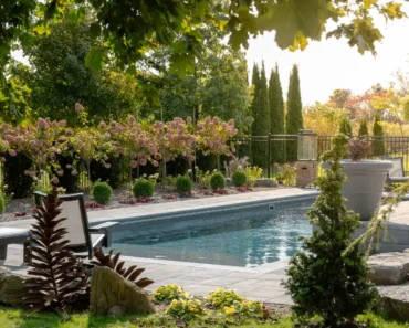 9 Stunning Backyard Swimming Pool Designs to Inspire Your Oasis