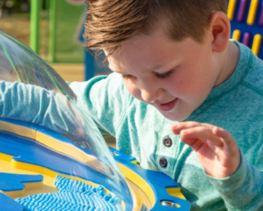 This article speaks to our recommended inclusive playground equipment for schools.